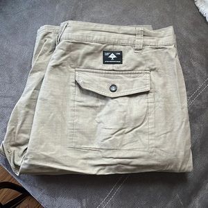 Lrg cargo shorts